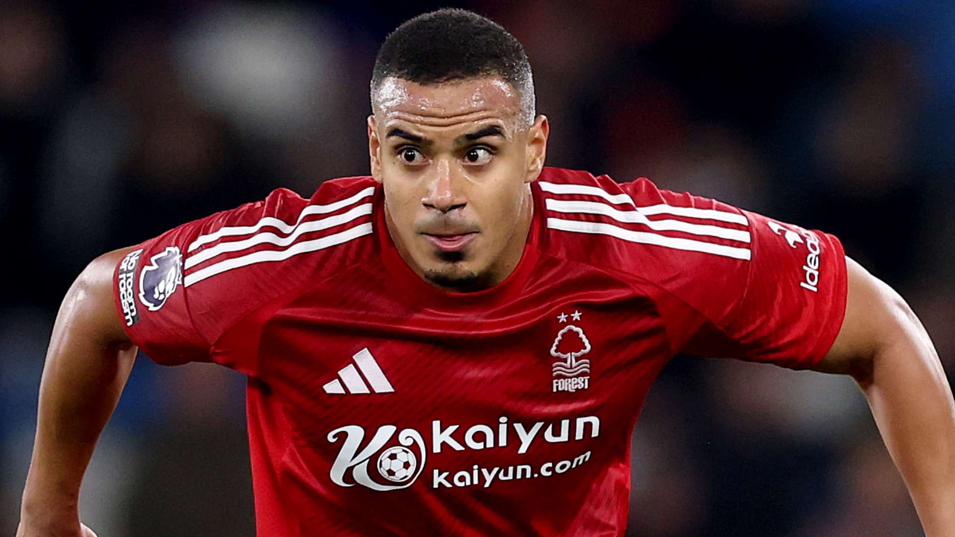 之间的互动 之间的互动